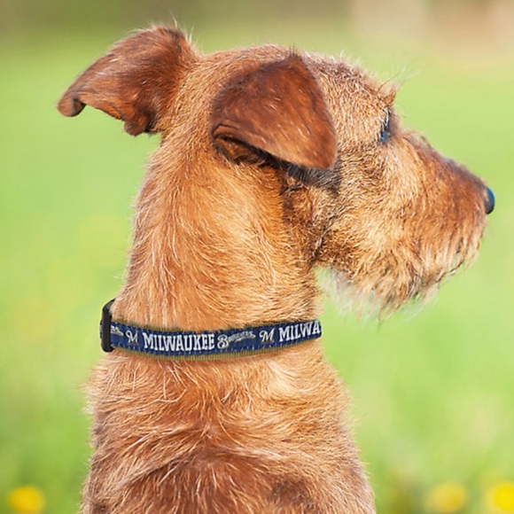 NWT Milwaukee Brewers Dog Collar, Leash & Reversible Bandanna Size Small - Picture 4 of 11